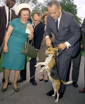 http://www.blex.org/research/lbj-him.jpg